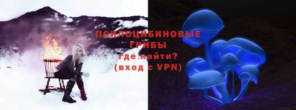 СК Богородицк